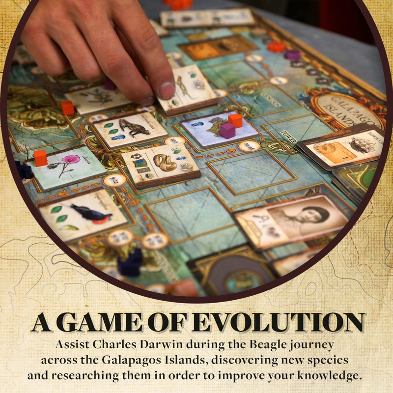 Genius Games On The Origin of Species | An Evolutionary Research Board Game by Artana Games | Charles Darwin's Trip Through the Galapagos as a Strategic Science Board Game for Kids and Families | Based on the Book - Image 4